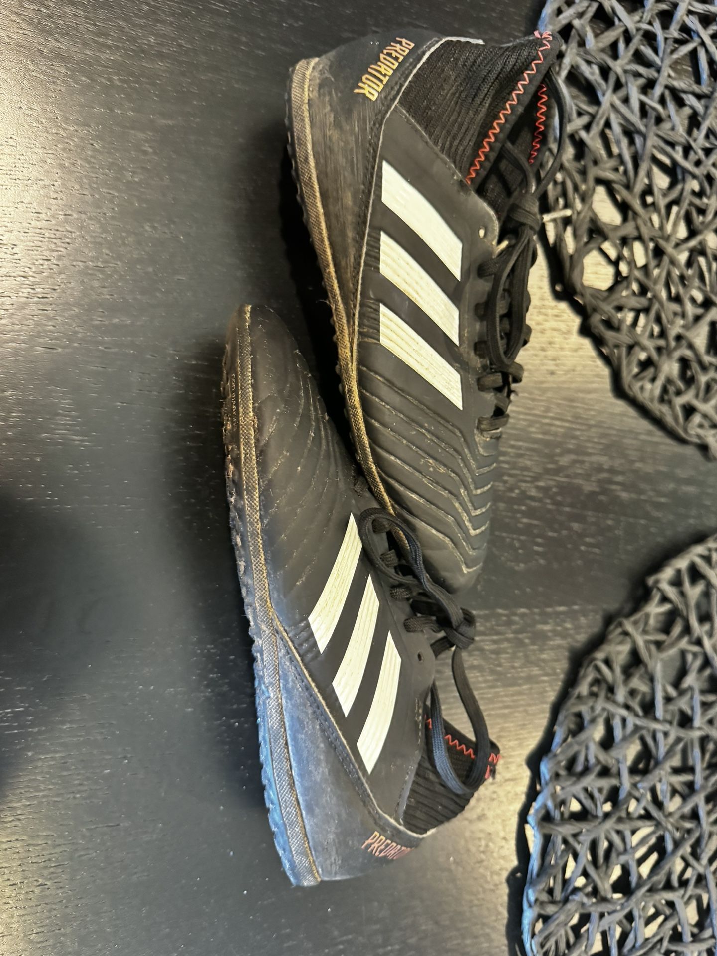 Predators
