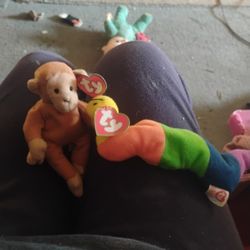 Teenie Beanie Babies1993