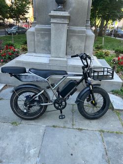 Fat wheel electric bike