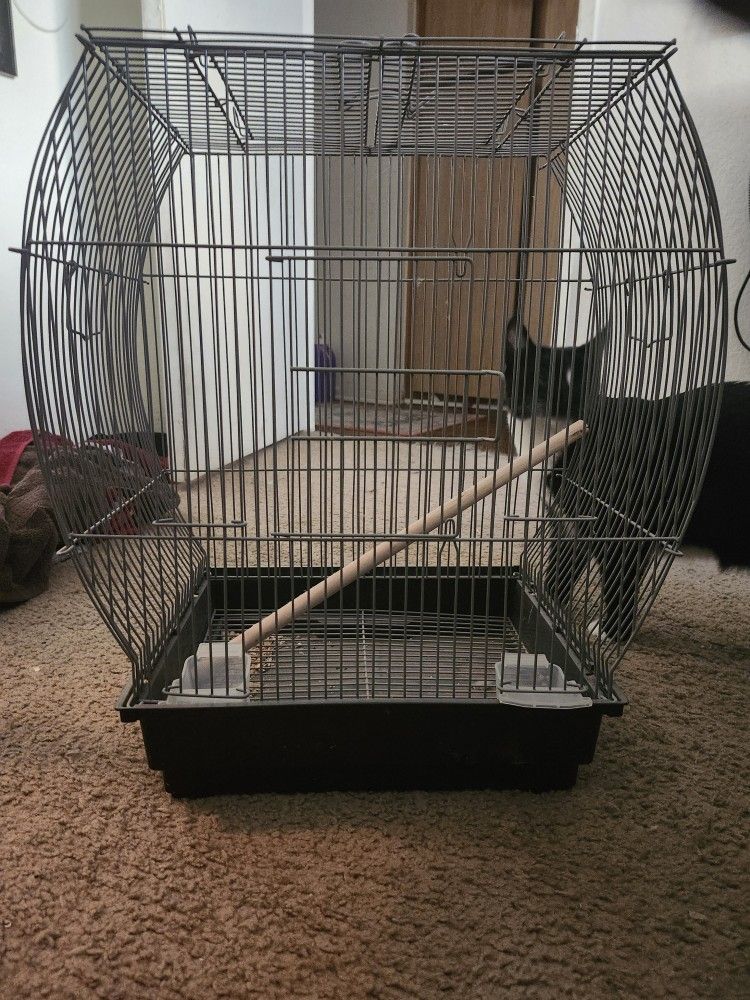 Bird Cage