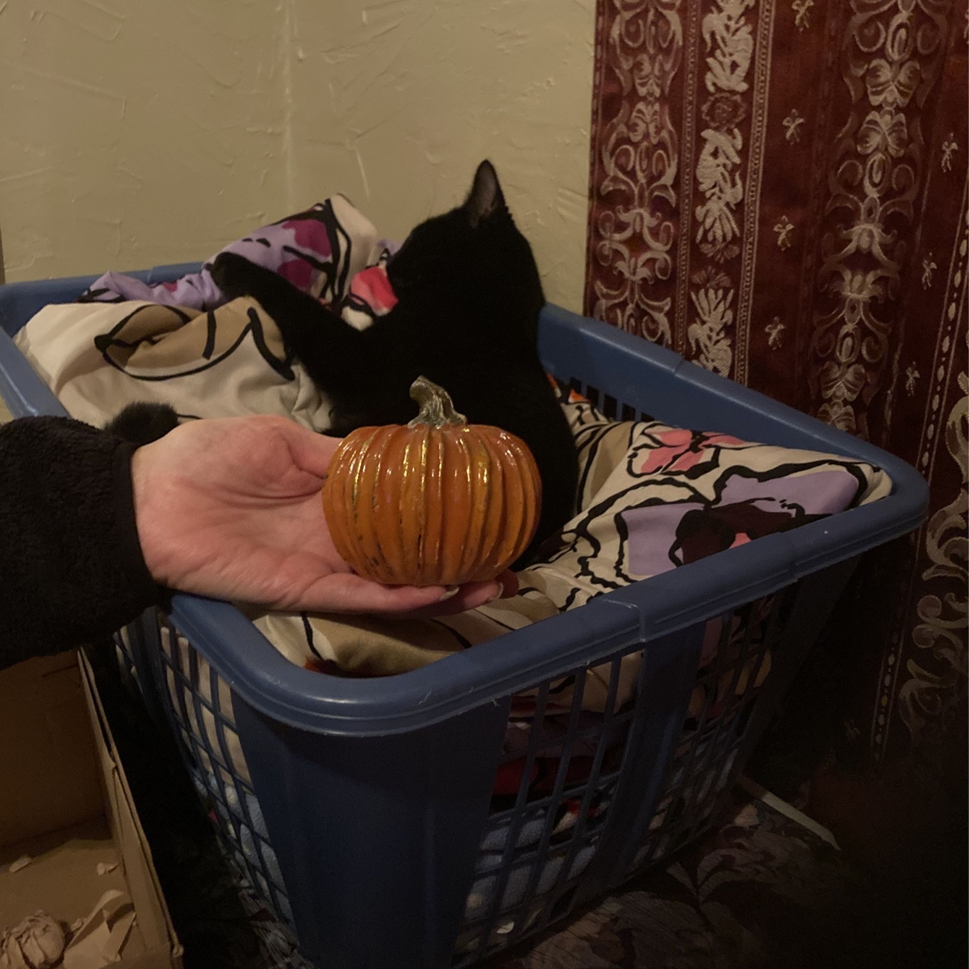 Punkin Figure