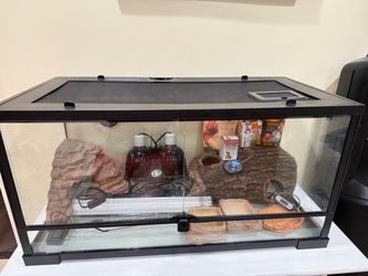Glass Reptile Terrarium with Accessories