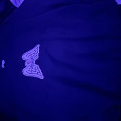 Moncler x palm angles wings sweater