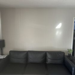 Black Leather Foldout Couch 