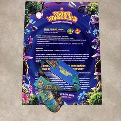 Beyond Wonderland Ticket