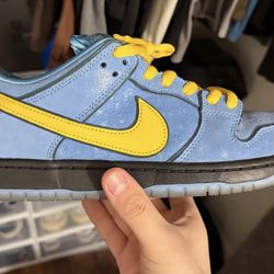 Nike SB POWERPUFF GIRLS Dunks Bubbles