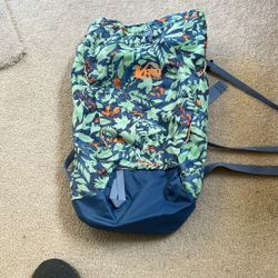 Vintage REI Flash 18 Hiking Backpack