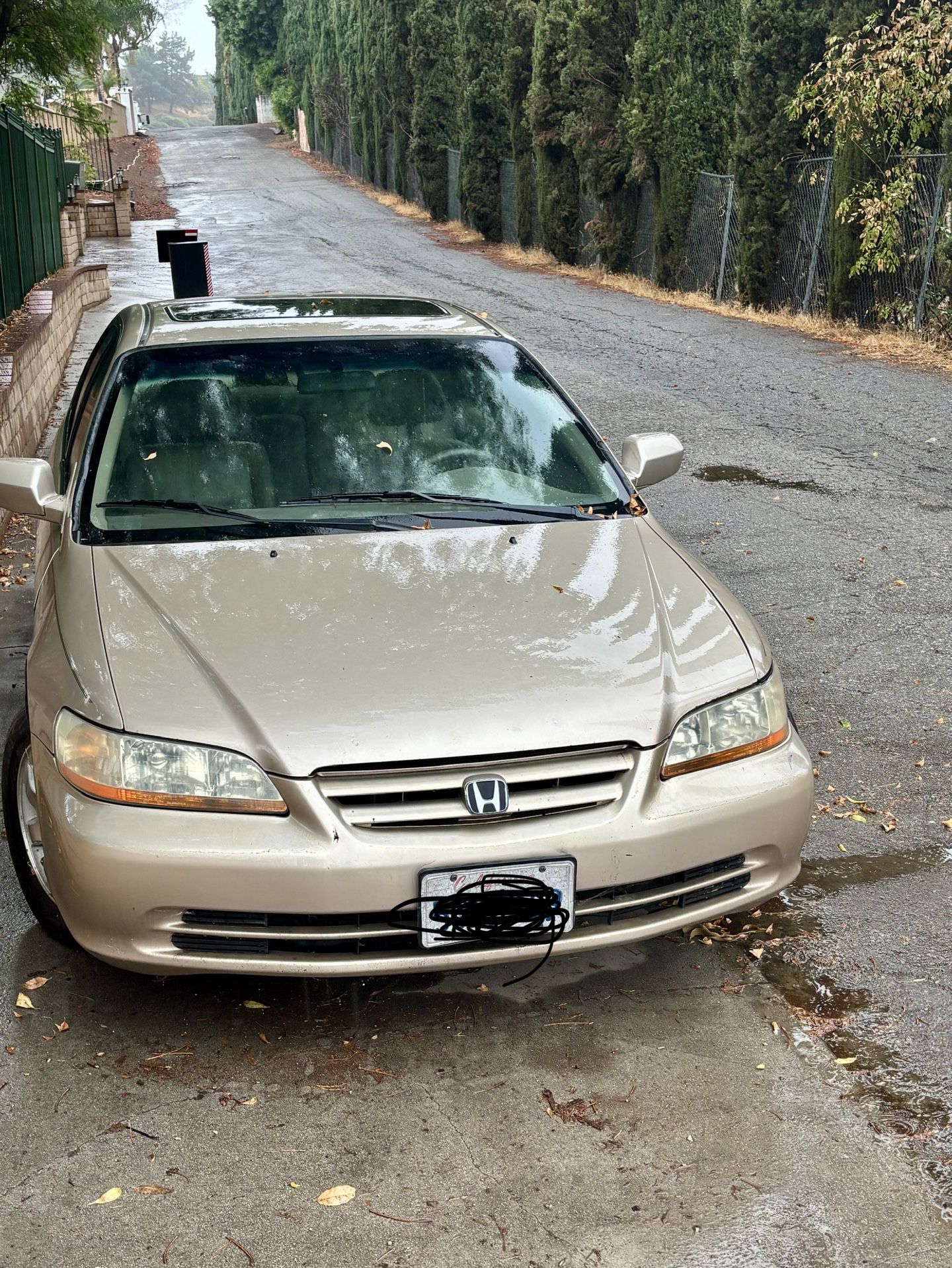 2000 Honda Accord