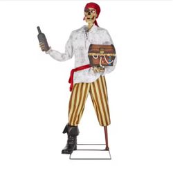 Animated Pirate Sidekick