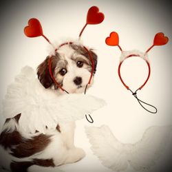 Dog Sweet Heart Headband with White Feather Wings. Costume Set, for Small to Medium Dog.