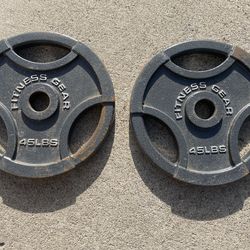 2x 45 lb weight plates, olympic size, $65 for both.