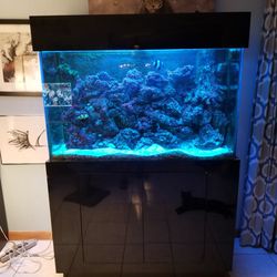 110 Gallon Salt Water Fish Tank for Sale in Miami, FL - OfferUp