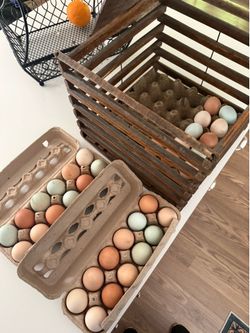 Organic farm fresh eggs