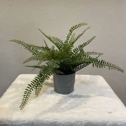 Artificial Fern