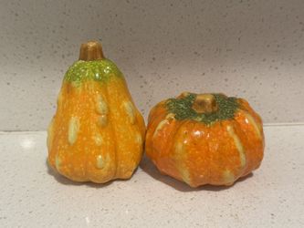 Thanksgiving Decor Ceramic Pumpkin Squash Autumn Fall