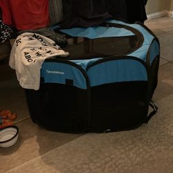 Items For Small Dog/puppy