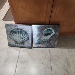 A Set Of  Sea Shell Paintings