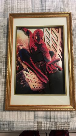 Spider Man 3D Painting