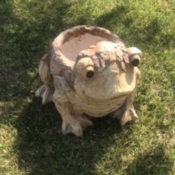 New Frog Flower Pots Perfect Gift For Any Occasion 