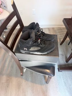 Jordan 5 Retro Paris Saint-Germain