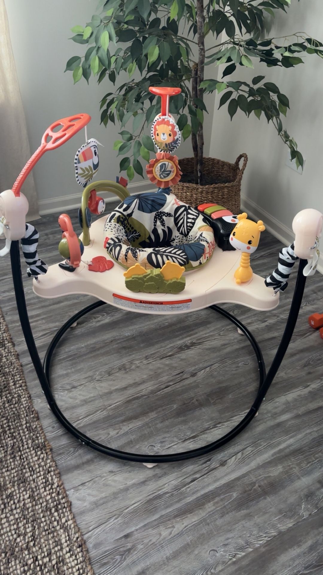 Fisher price Bouncer Activity Center