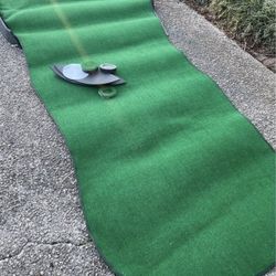Indoor Putting Green 10’ foot Big Moss Putting 2 holes