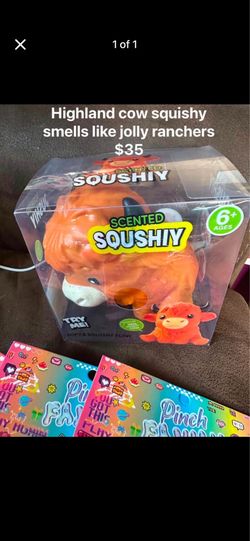 Scented Highland Cow Squishy Toy