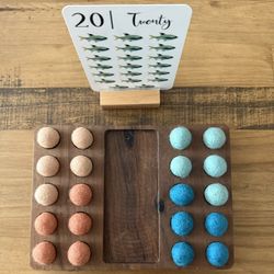 20 Frames Board And Felt Ball Set Counting Sorting Homeschool 