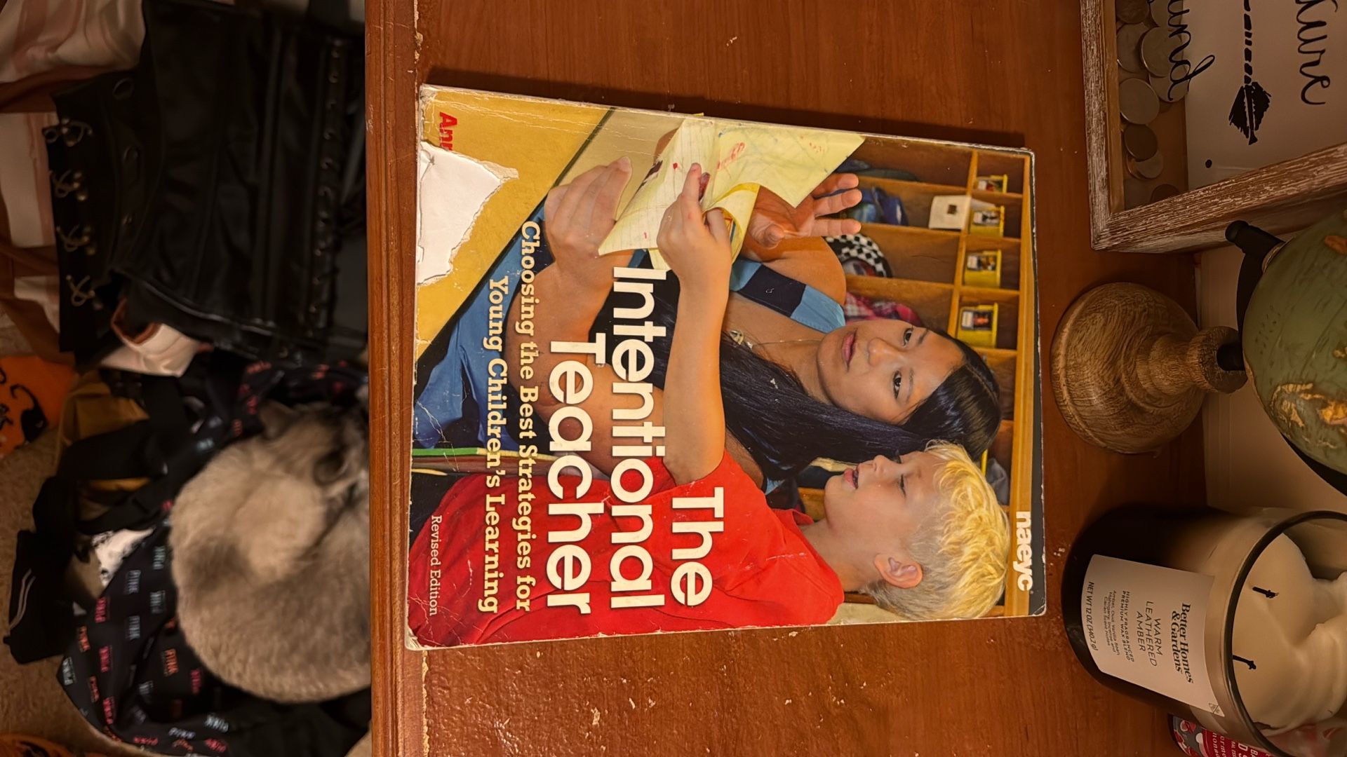 The Intentional Teacher Choosing The Best Strategies For Young Children’s Learning, Revised Edition Naeyc 