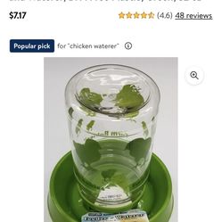 Chicken Feeder Heat Lamp And Silky Chickens 