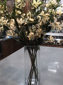 Decor Vases/ Flower Vases