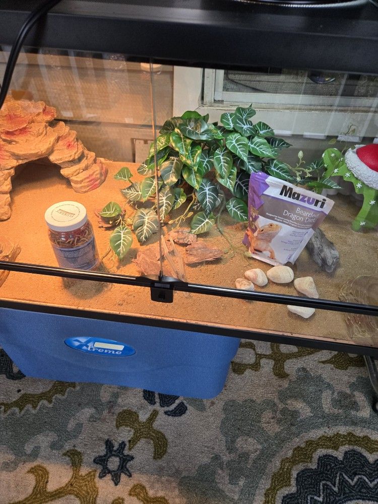 40 gallon terrarium brand new. w/ accessories