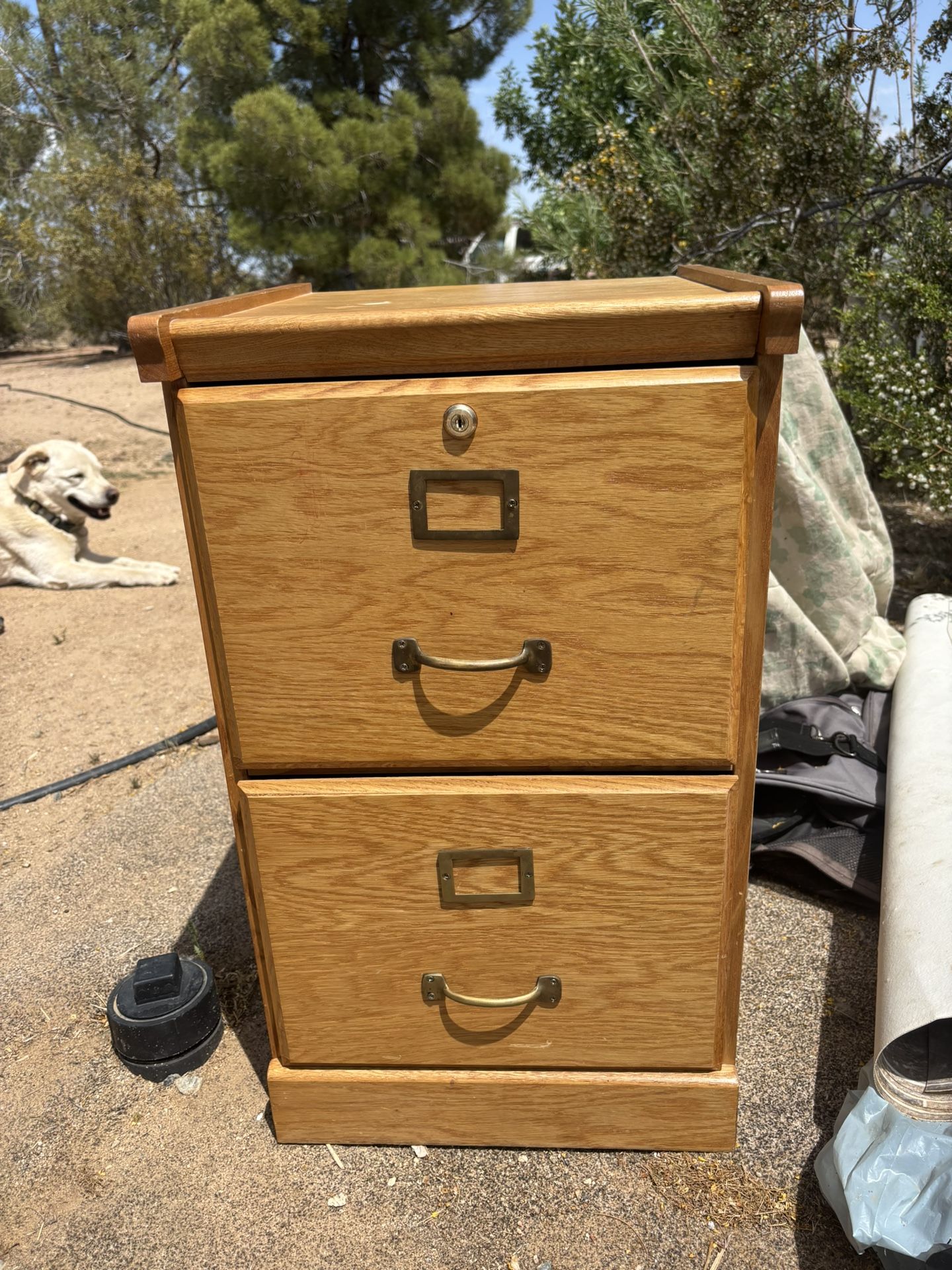 Oak File Cabinet