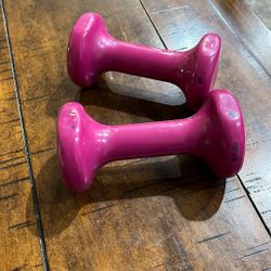 3 Ib Hand Weights
