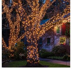 HISHINY Christmas Lights 100 Count Mini Clear Lights 21ft White Wire Christmas Tree String Lights Set for Outdoor Indoor Christmas Decorations Wedding
