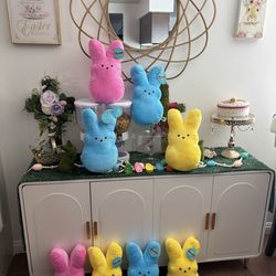 $5 each new / pickup only