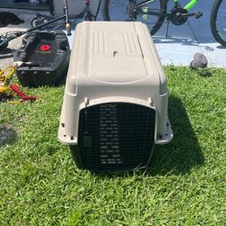 Dog Kennel 
