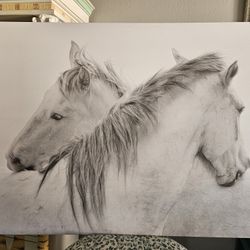 Horses Canvas