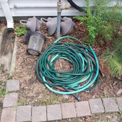 CHOICE: HOSE, OUTSIDE LIGHT. PINE TREE
