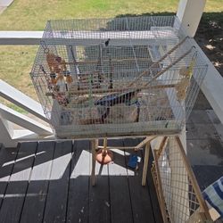 Used Bird Cage With Accessories $15
