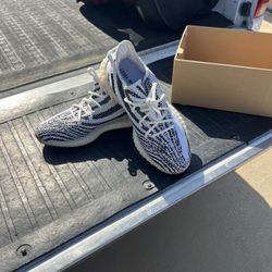 Yeezy Zebra Size 11 (Used)