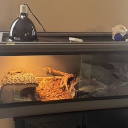 50gal Reptile Enclosure 