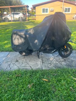 200 Cc