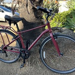 Giant Momentum Hybrid Bike