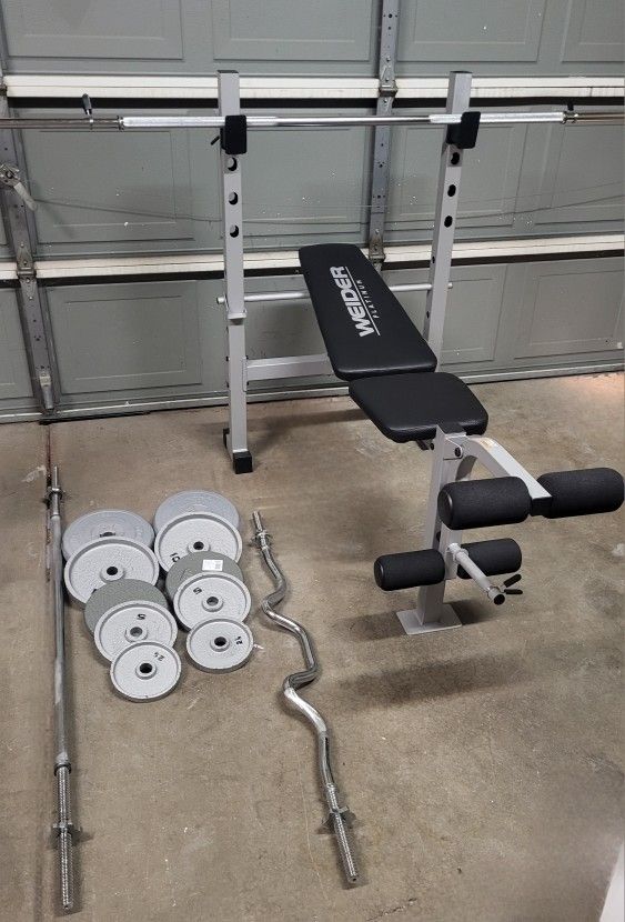 Weight Bench And Weights 