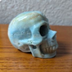 Caribbean Calcite Skull 