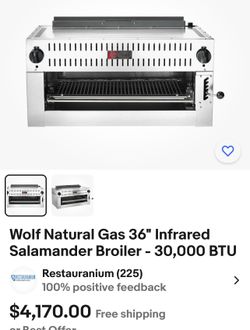 Industrial Salamander Broiler WOLF Brand One Of The Best