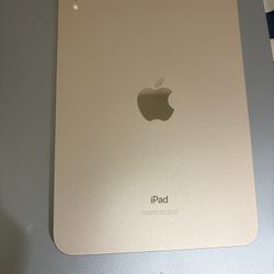 Apple iPad Mini 6th Gen 256GB Starlight WiFi + Otterbox