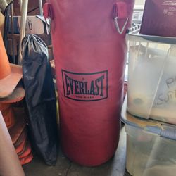 Punching Bag