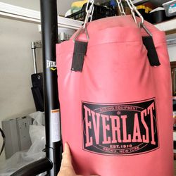 Everlast Punching Bag And Stand Combo